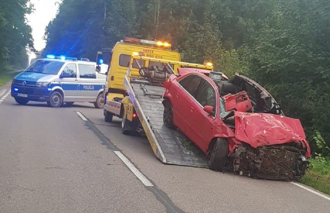 Ciechanów. Wypadek na drodze. Uderzył w łosia 