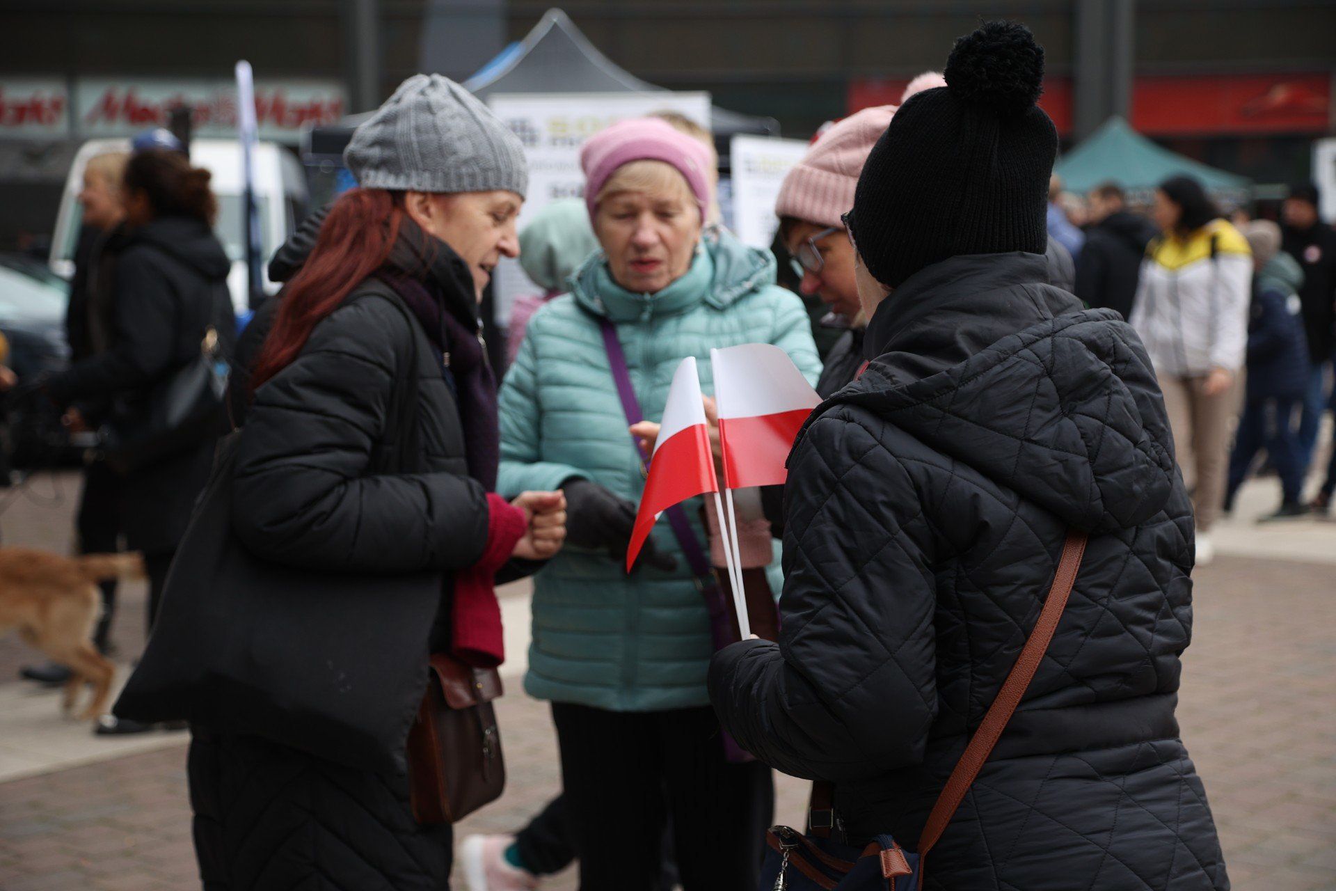 XIV Piknik Niepodległościowy