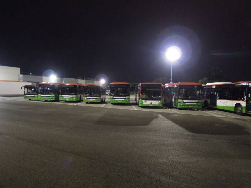 stefczyka6