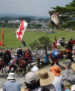 Oburzenie po japońskiej imprezie samurajów. "To katorga dla koni"