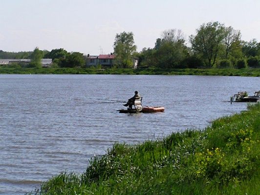Obraz