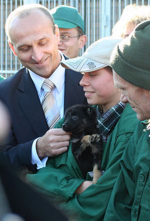 Marcinkiewicz dla WP: będzie więcej pieniędzy na bezdomne zwierzęta