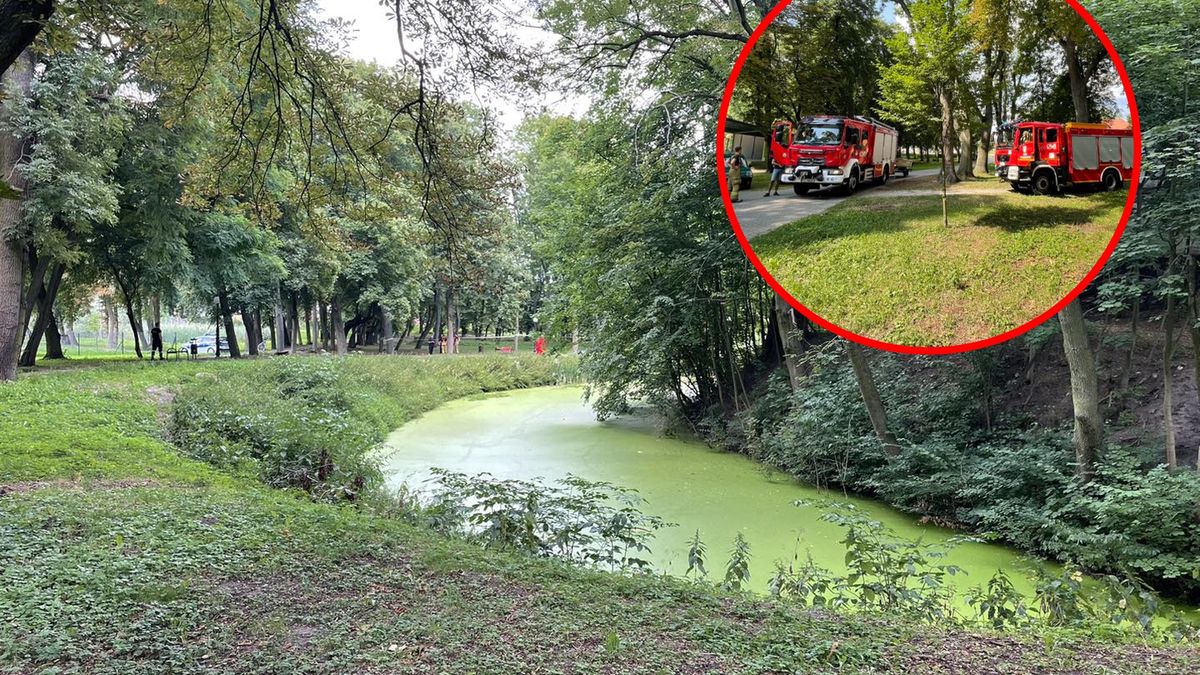 Z parkowej fosy wyłowiono zwłoki kobiety 