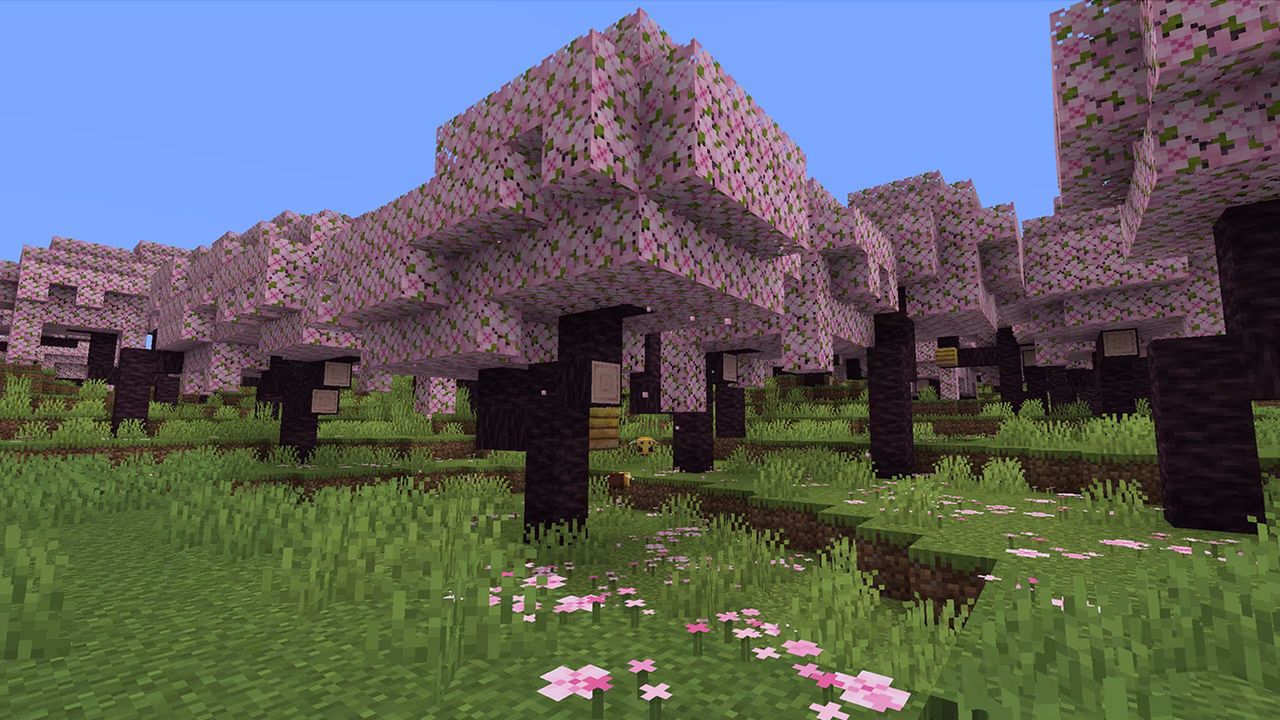 Cherry Blossom