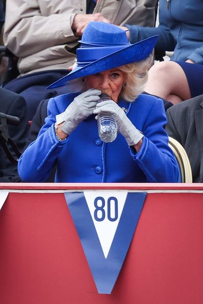 Rodzina królewska podczas 80. rocznicy Dnia Zwycięstwa w Europie