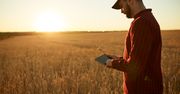 Internet rzeczy pomoże w produkcji żywności. Część rolników już z niego korzysta
