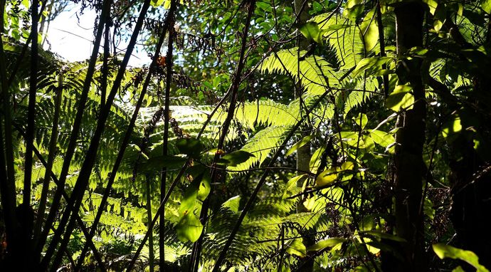 Chiny: ukryte królestwa