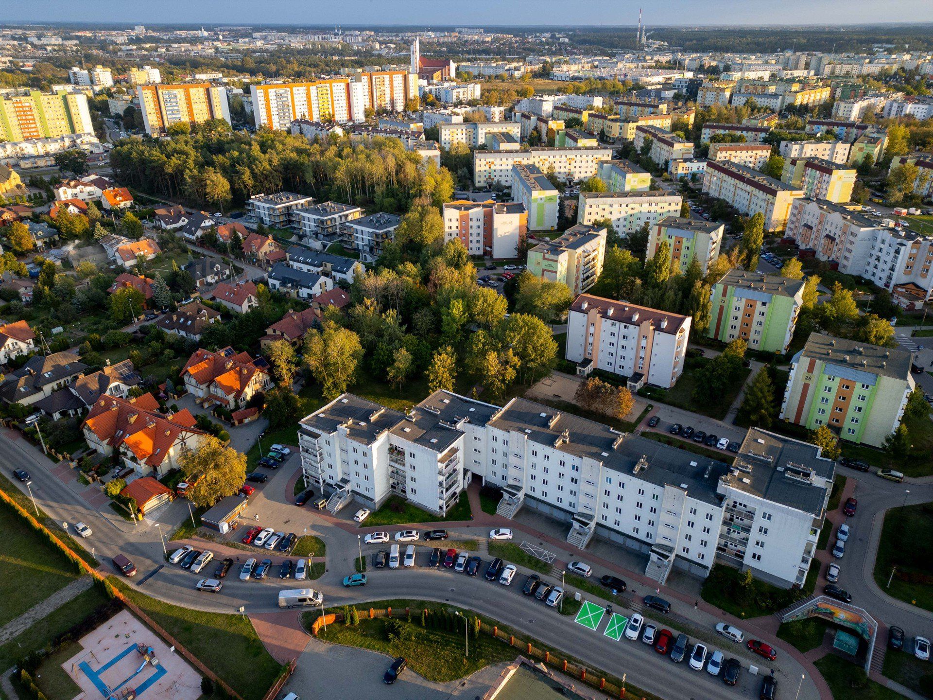 W lesie między Niską i Armii Krajowej powstanie leśny park kieszonkowy