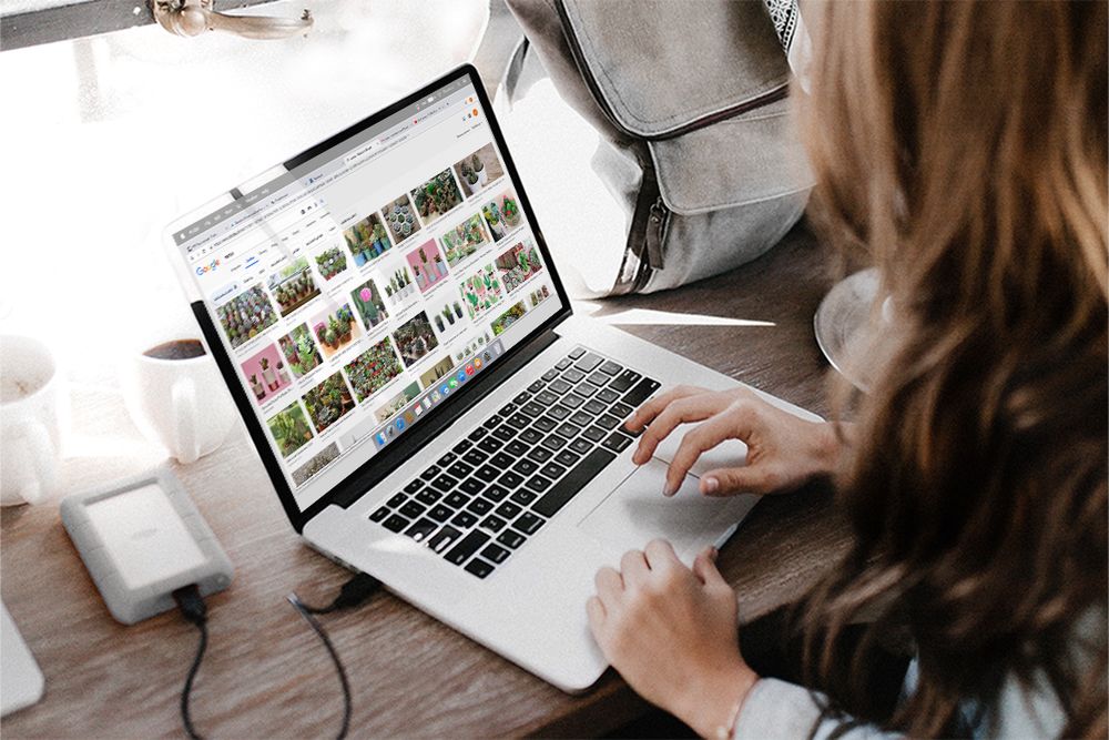 Wyszukiwarka obrazów Google pokaże informacje o prawach autorskich 1
