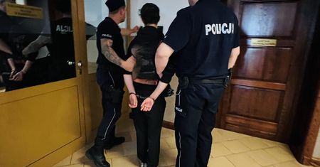 Młotek w głowę 17-latka. 15-latek usłyszał zarzut usiłowania zabójstwa