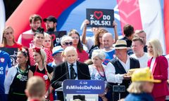 "Najniższy budżet w historii kampanii". Kandydaci wpłacili po 100 tysięcy. Znamy plan PiS