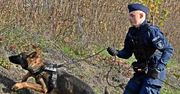 Strzelce Krajeńskie: Cała komenda policji postawiona na nogi, życie 57-latka zagrożone