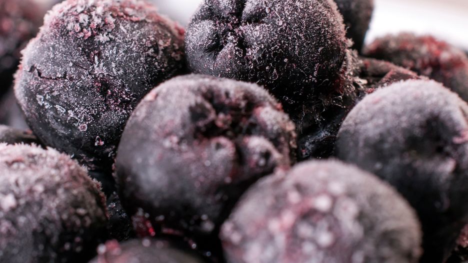 Chokeberry Closeupchokeberry, blue, food, healthy, snack, macro, black, diet, berry, vitamins, aronia melanocarpa, juicy, raw, sour, closeup, aronia, nutrition, delicious, eat, detail, close, nature, organic, natural, fruit, health, ripe, bunch, freshness, autumn, plant, vitamin, melanocarpa, tasty, antioxidant, eating, dessert, jam, vegetarian, ingredient, chokeberry, closeup, aronia melanocarpa, macro, food, healthy, snack, blue, black, diet, berry, vitamins, juicy, raw, sour, aronia, nutrition, delicious, eat, detail, close, nature, organic, natural, fruit, health, ripe, bunch, freshness, autumn, plant, vitamin, melanocarpa, tasty, antioxidant, eating, dessert, jam, vegetarian, ingredient