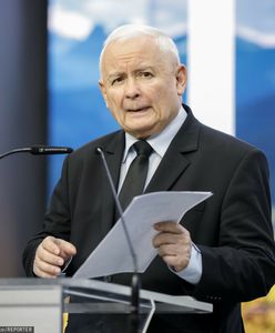 Logo PiS do kosza? Jest głos z partii