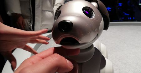 Pierwszy dzień CES 2019 za nami. Show ukradł piesek Aibo