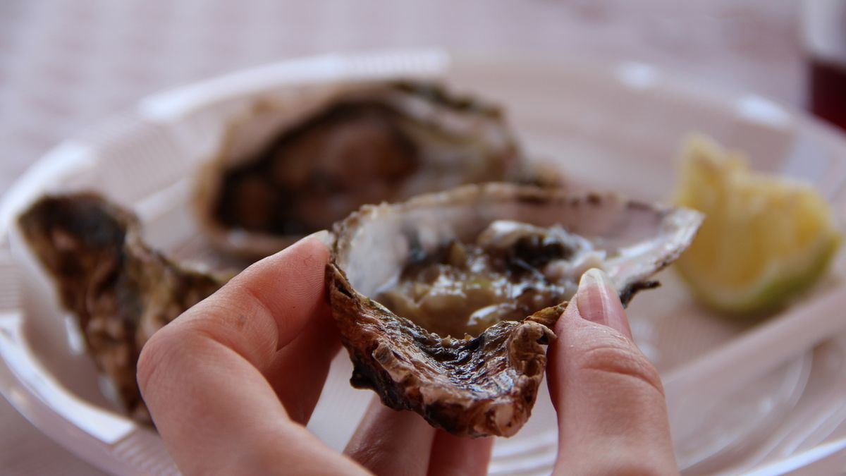 Ostrygi to gatunek mięczaków, który cechuje się dużą zmiennością