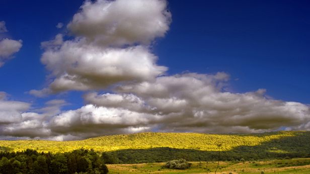 Microsoft odświeża SkyDrive'a. Wkrótce będzie też aplikacja na Androida 1