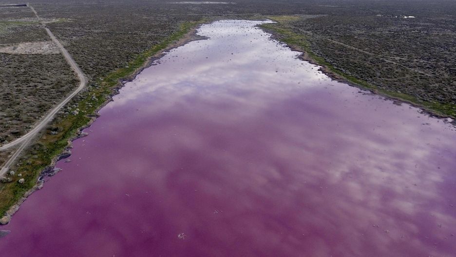 Laguna Corfo często ulega zanieczyszczeniom 
