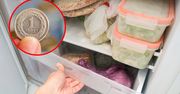 Wyjeżdżasz na wakacje? Wrzuć monetę do zamrażalnika