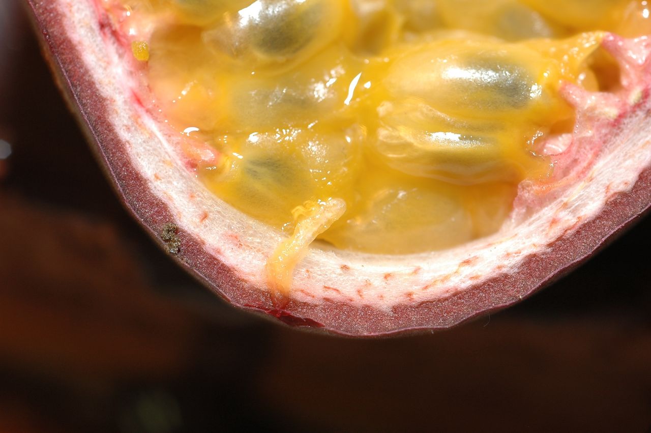 Passion fruit is called the "fruit of the martyr."