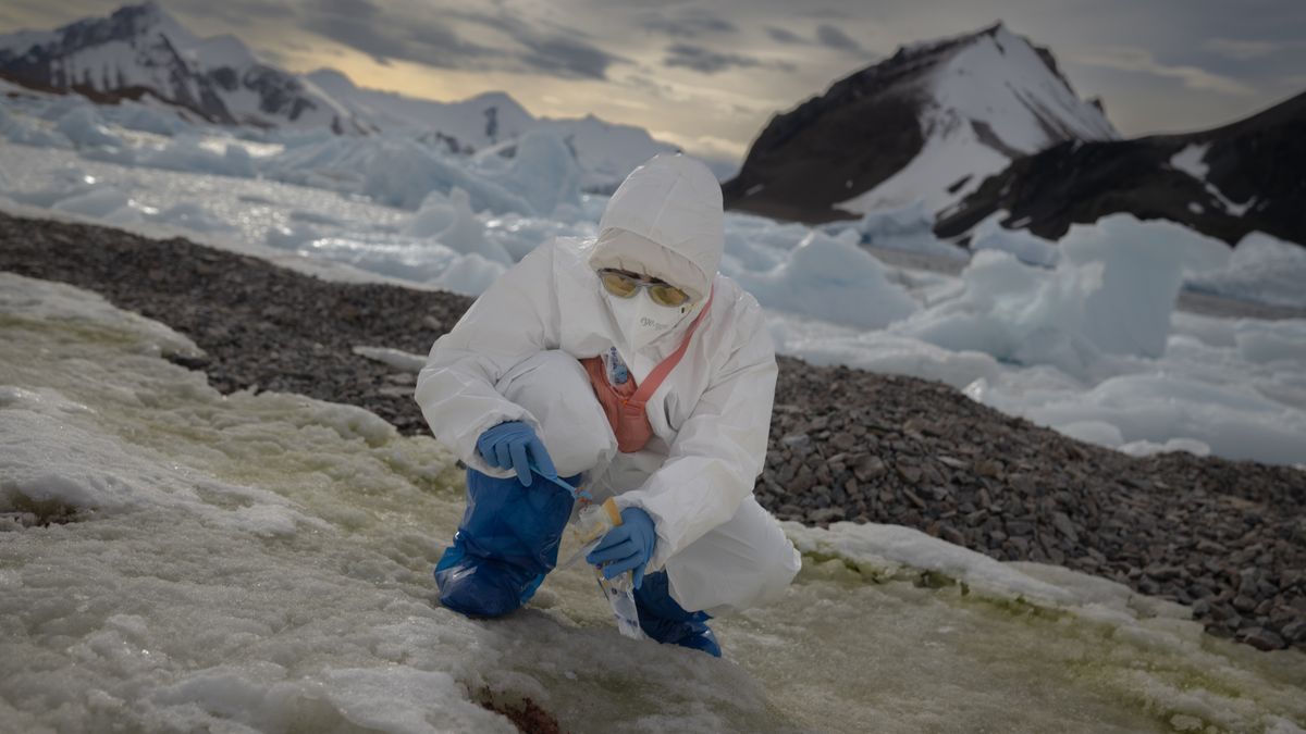 Niezwykłe odkrycie pod lodem — zdjęcie ilustracyjne