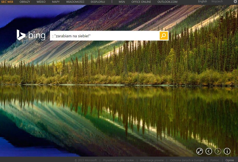 Bing profit