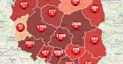 Koronawirus w Polsce. Ponad 16,5 tys. zarażonych. Rośnie liczba ofiar [Aktualna mapa]