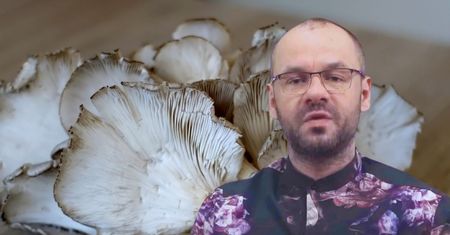 Są w każdym markecie i kosztują grosze. Lekarz radzi, by jeść codziennie, bo wydłużają życie