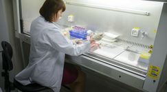 Polskie geny jadą do Chin. Generał nie dziwi się zaniepokojeniu służb