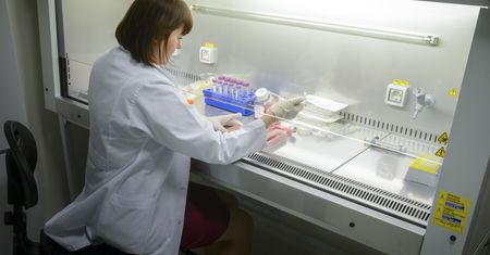 Polskie geny jadą do Chin. Generał nie dziwi się zaniepokojeniu służb