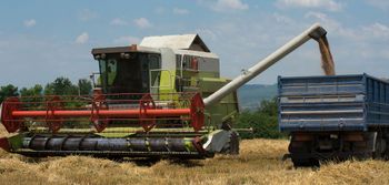 Cena skupu interwencyjnego zbóż sprzed lat. Rolnicy chcą urealnienia