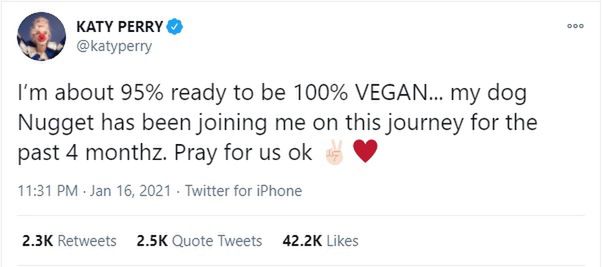 Pies Katy Perry przeszedł na weganizm? 