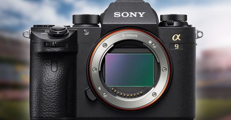 Sony A9: aktualizacja wprowadza Real-Time Eye AF dla zwierząt oraz interwałometr