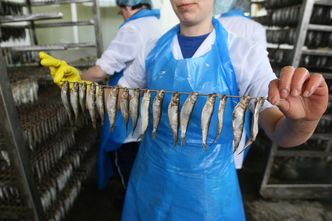 Praca w Polsce jest, i to od ręki. Ta branża potrzebuje setek pracowników