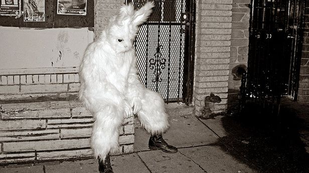 Sex na klawiaturze zasmuca 1