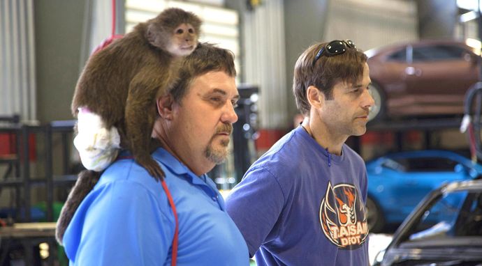 Trans Am - powrót legendy