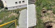 Zielona Góra: Ktoś ukradł posadzone na osiedlu krzewy