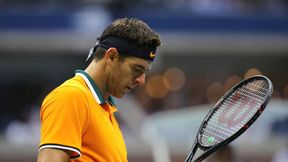 Juan Martin del Potro wyjaśnił, dlaczego skreczował. "Poczułem intensywny ból"