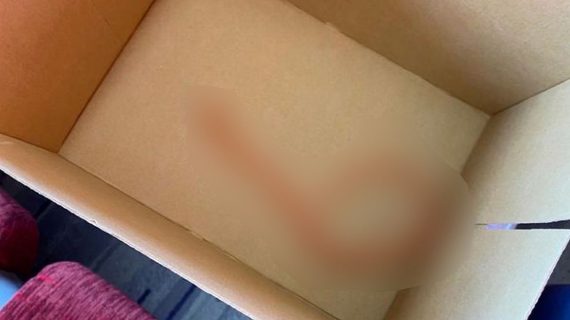 Niepokojące odkrycie pod siedzeniem pasażera. Byli przerażeni.