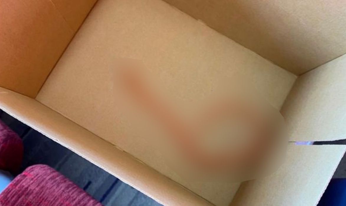 Niepokojące odkrycie pod siedzeniem pasażera. Byli przerażeni.