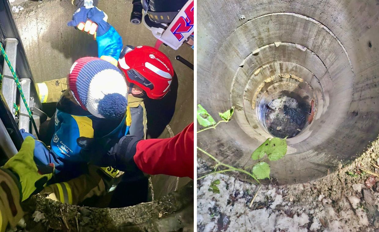 wiadomości,aktualności,WP Wiadomości 