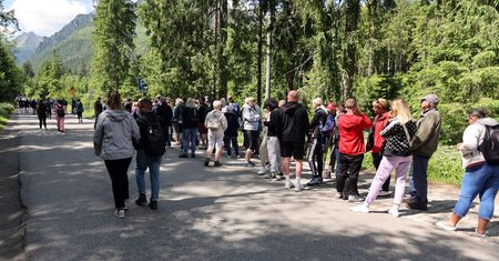 Wideo z drogi do Morskiego Oka. "Turystyka czy zwykłe okrucieństwo?"