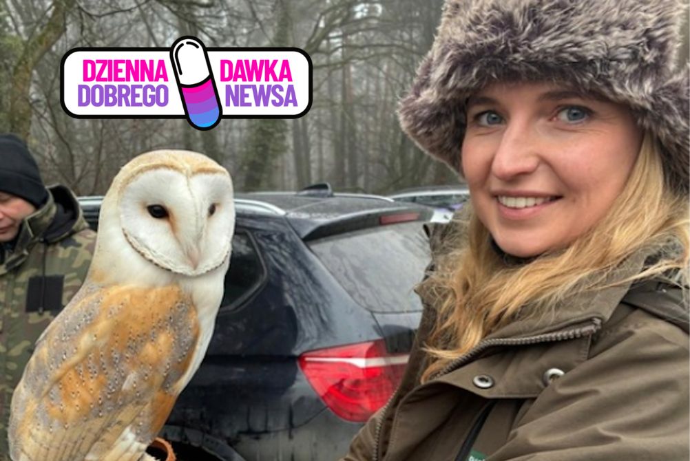 Leśnicy zapraszają do licytacji. "Gwarantujemy nietypowe atrakcje"