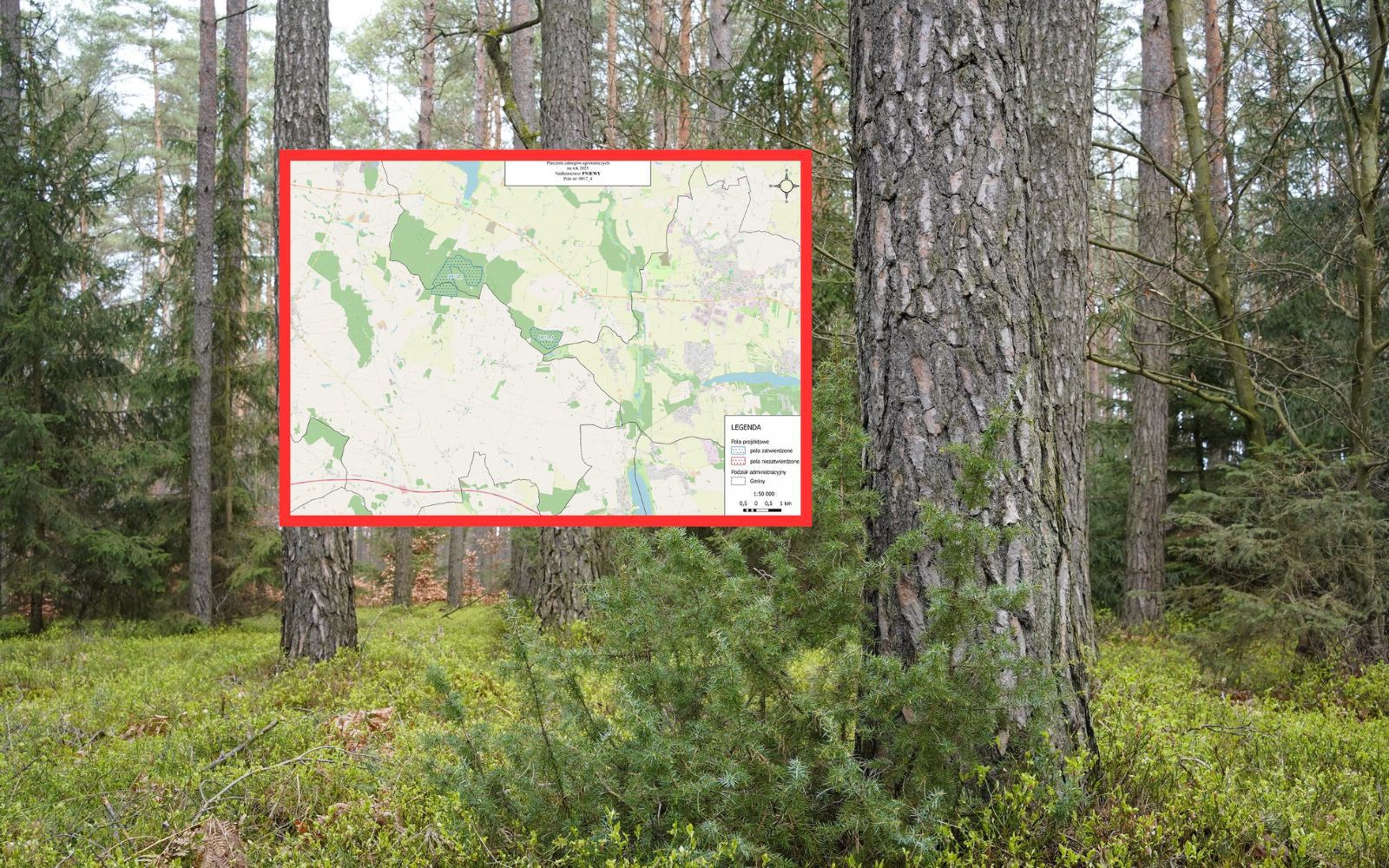 Nie wejdziesz do tego lasu. Zakaz do końca maja. Opublikowano mapę