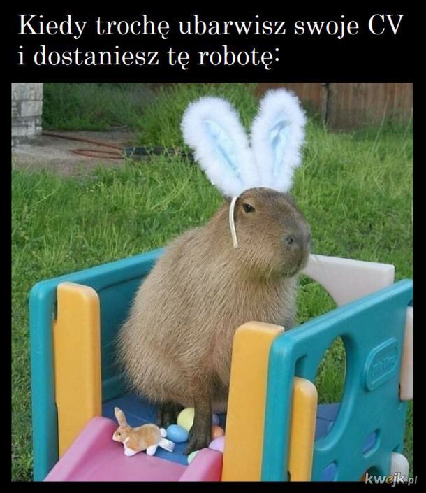 Memy Wielkanocne, które rozbawią cię do łez.
