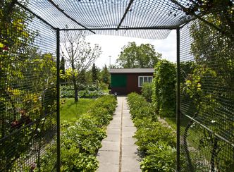 Eksmisje z działek za niewymiarowe altany? RPO alarmuje, związkowcy zarzucają mu niewiedzę