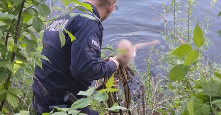 Nagi mężczyzna biegał po Augustowie. Na widok policji wskoczył do wody