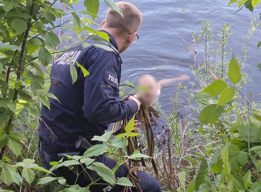 Nagi mężczyzna biegał po Augustowie. Na widok policji wskoczył do wody