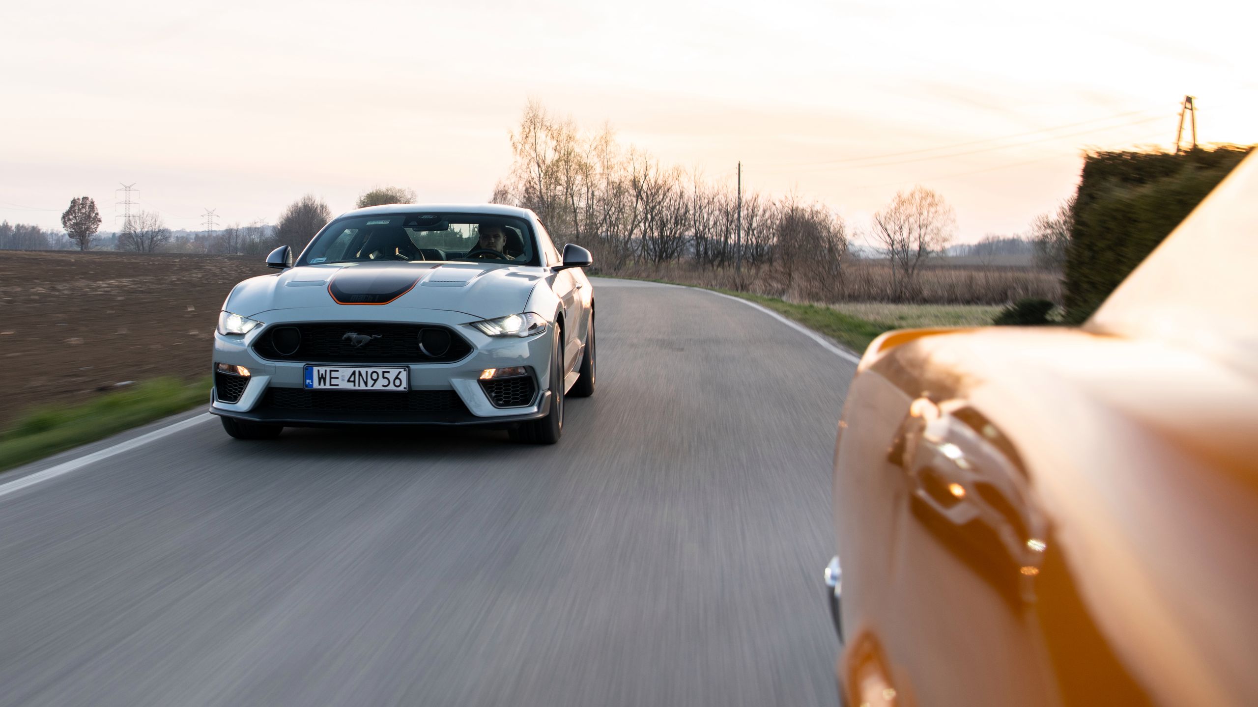 Ford Mustang Mach 1 vs. Mustang Mach 1 428 Cobra Jet
