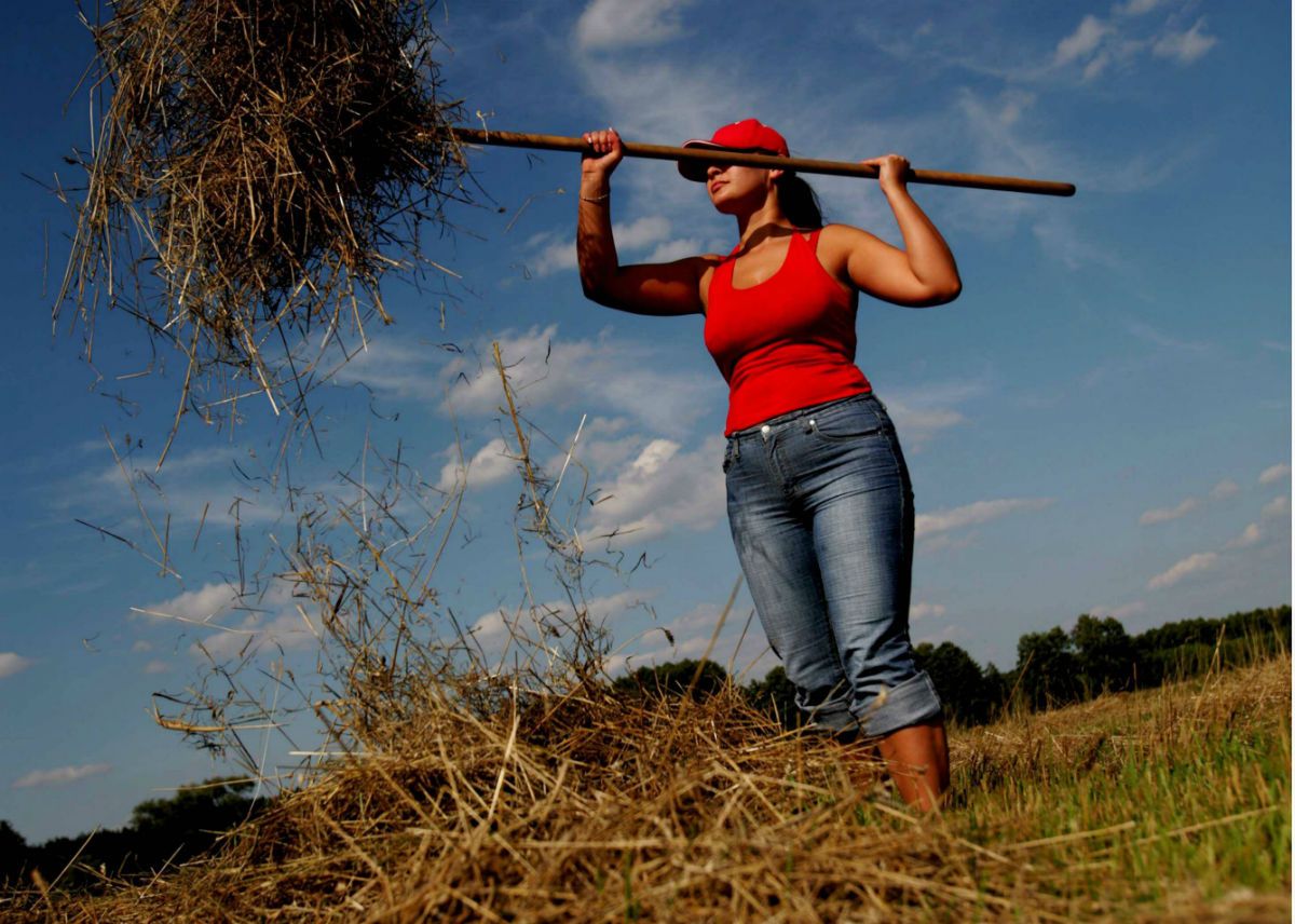Bezwzględne zjawisko na polskiej wsi. Dzieci rolników walczą z rodzicami o ziemię